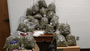 California Couple caught stuffing presents with Marijuana