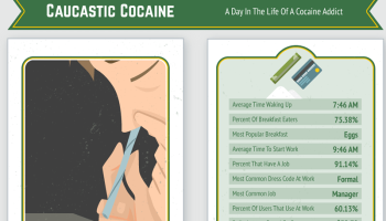 Researchers successfully reduce cocaine craving in mice