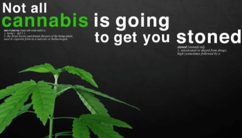 Vermont becomes ninth state to legislate legal marijuana