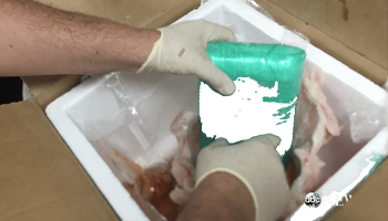 New York City Police find fentanyl in frozen fish