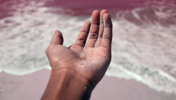 Study shows more than 10 percent have cocaine on their hands