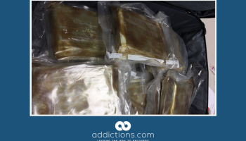 Opioid dealer pleads guilty, largest fentanyl seizure in California