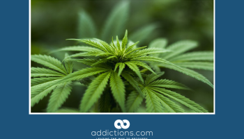 Vehicle Stop Leads to Arrest and Seizure of Cash and Marijuana