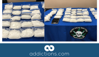 Police arrested mother and son seizing millions of dollars worth of meth