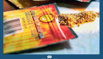 Synthetic marijuana makes more than 90 ill in the midwest