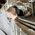 Depression Deadly for Heart Patients