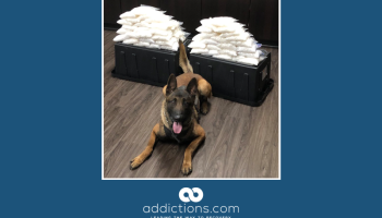 Rookie K-9 finds 60 pounds of meth in California