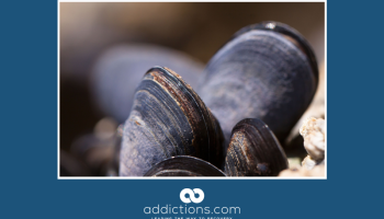 Seattle mussels found to contain trace amounts of Oxycodone