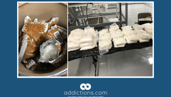 $1.7 million shipment of fentanyl from China stopped in Philadelphia