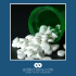 Drug overdose deaths continue to rise in San Diego