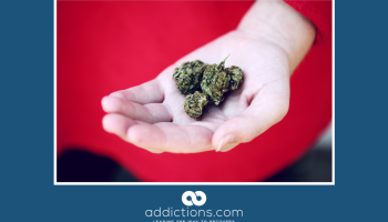 Michigan becomes 10th state to legalize recreational marijuana