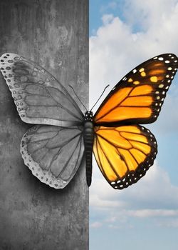 Butterfly indicating hidden mental strife