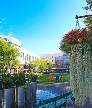 Overland park flowers and park view