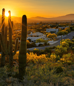 arizona scenery