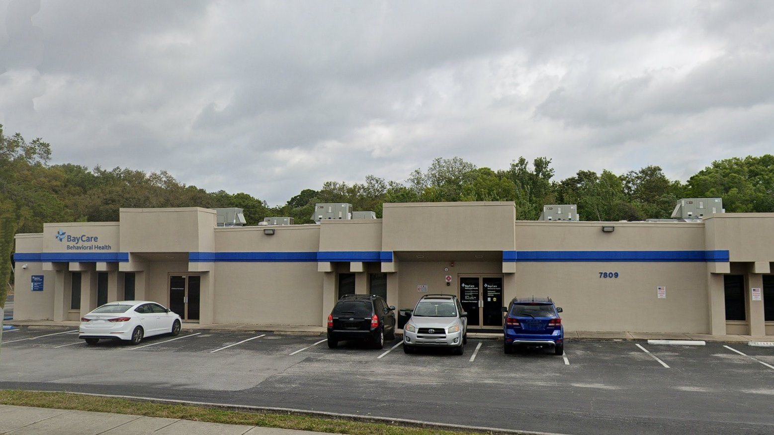 BayCare Behavioral Health Magnolia Plaza FL 34653