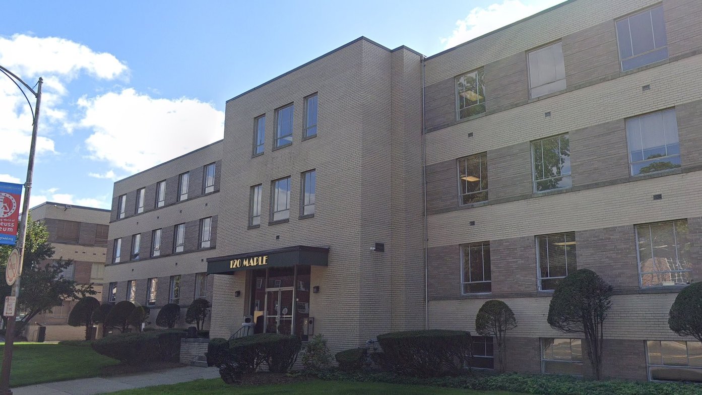 Behavioral Health Network Center for Development MA 01105