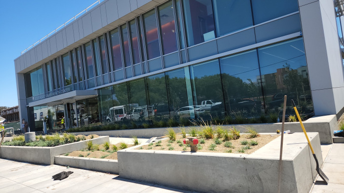 Southeast Health Center SEHC CA 94124