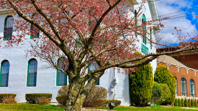 Wayne Counseling and Family Services NJ 07470