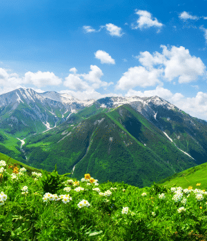 georgia mountains