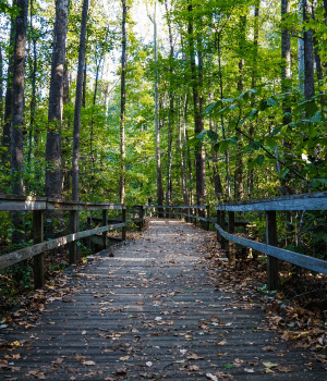 greensboro north carolina