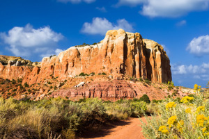 New Mexico desert