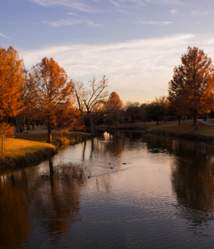 richardson texas city