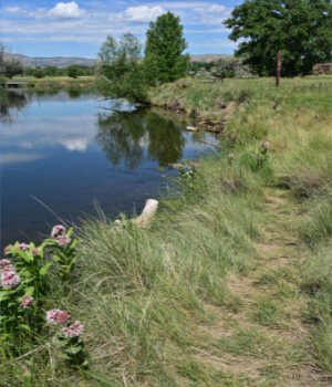 lakewood pond area