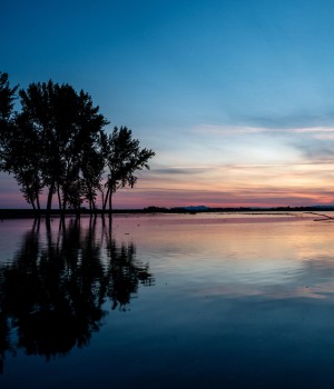 nampa idaho