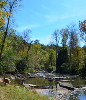 tuscaloosa alabama