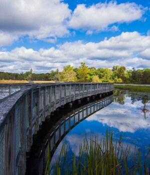 Novi Michigan