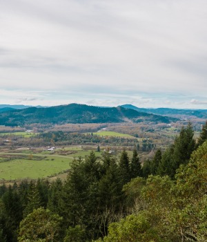 Springfield Oregon