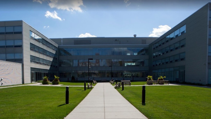 A Safe Haven IL 60608