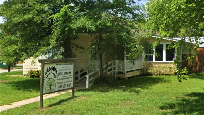 The Bridge Counseling Center TX 77301