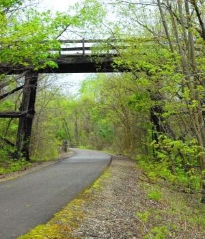 muncie indiana