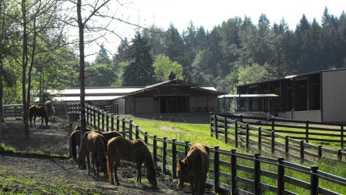 Alliance Counseling Center OR 97013