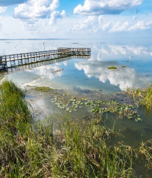 apopka-florida