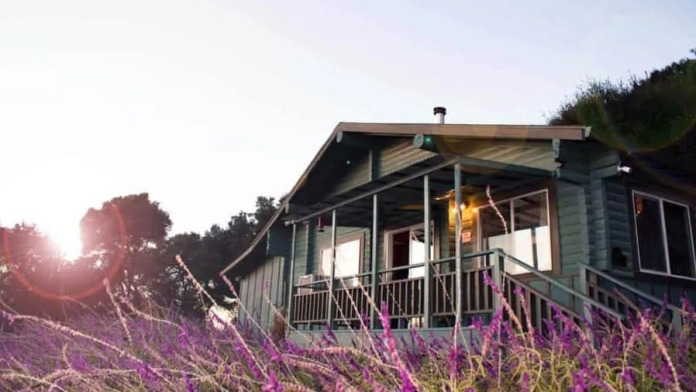 Elevate Addiction Services Placerville Recovery Center CA 95667