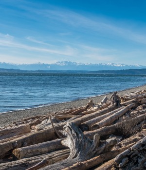 shoreline-washington