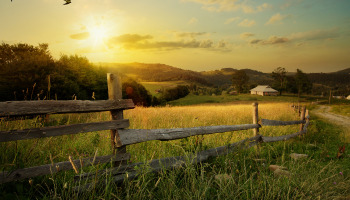 A small town farmhouse with a rustic fenced in field