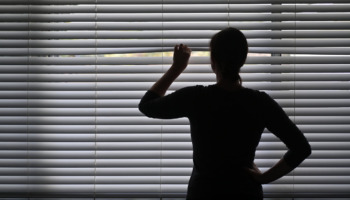 a shadowy figure peeks through the blinds of a window