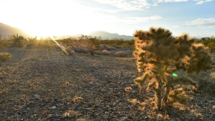 medication assisted treatment pahrump