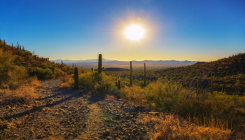 Tucson drug arrests treatment