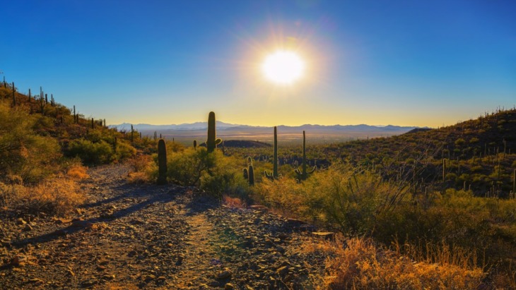 Tucson drug arrests treatment
