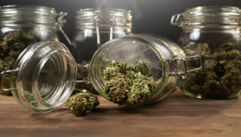 massachusetts cannabis repeal