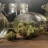 massachusetts cannabis repeal