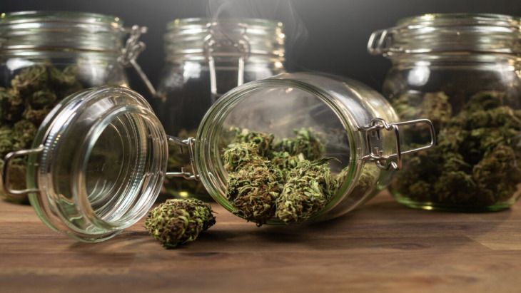 massachusetts cannabis repeal