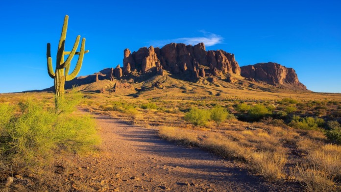 Naloxone shortage Arizona opioid