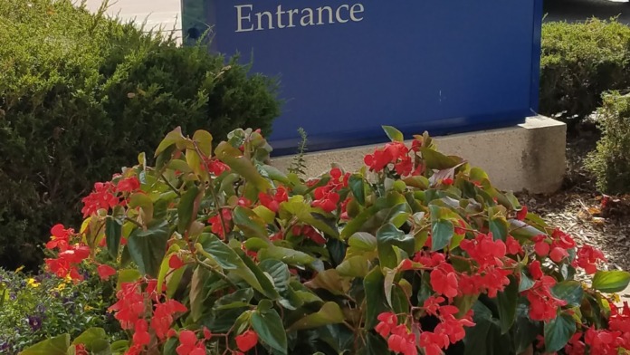 Outdoor entrance signage for Cancer and Surgery department with landscaping and flowers
