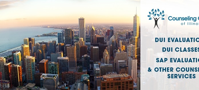 Exterior aerial view of Chicago skyline with Lake Michigan, featuring Counseling Center of Illinois logo and service descriptions