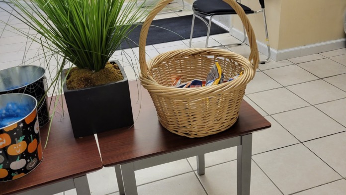 Interior common space with black chairs, decorative green plants in planters, and wicker basket